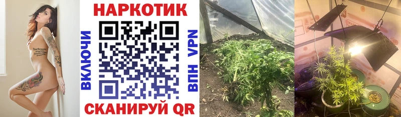Галлюциногенные грибы Гаджиево